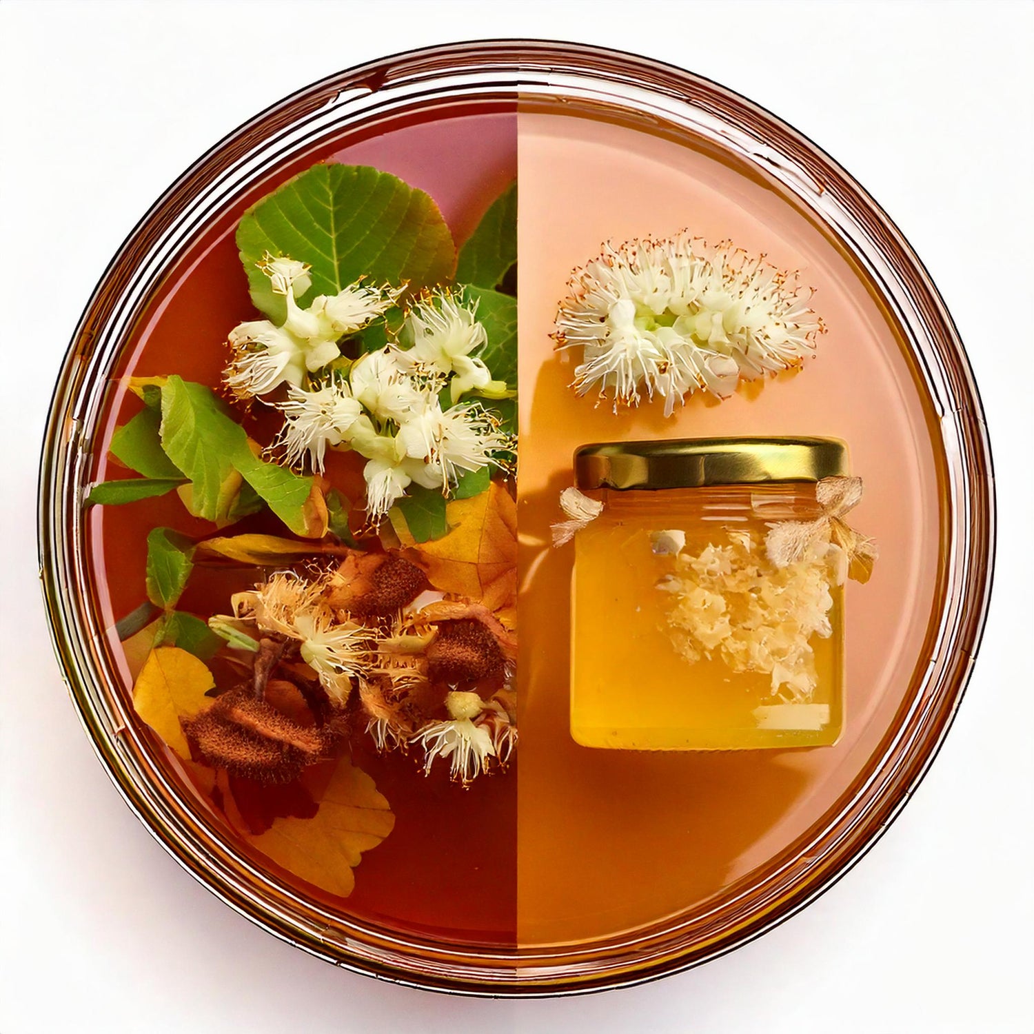 Le miel médical de manuka et le miel médical de châtaignier, quelles sont leurs différences?